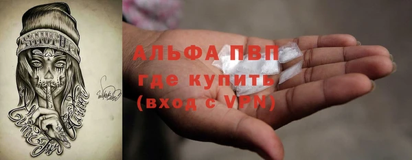 ГАЛЛЮЦИНОГЕННЫЕ ГРИБЫ Верея